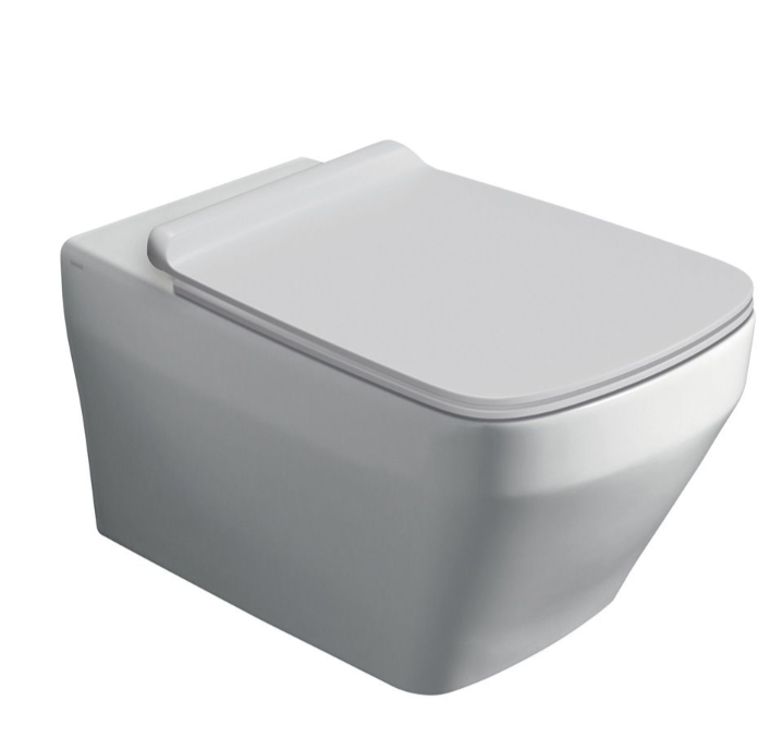 Ruth Rimless Wall Hung Toilet