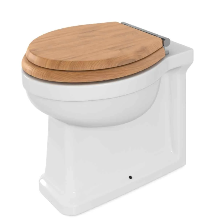 Elizabeth Traditional Back To Wall Toilet