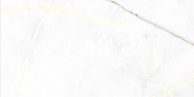 Maria Lime Gloss Porcelain Tile - 1200x600mm N24AW