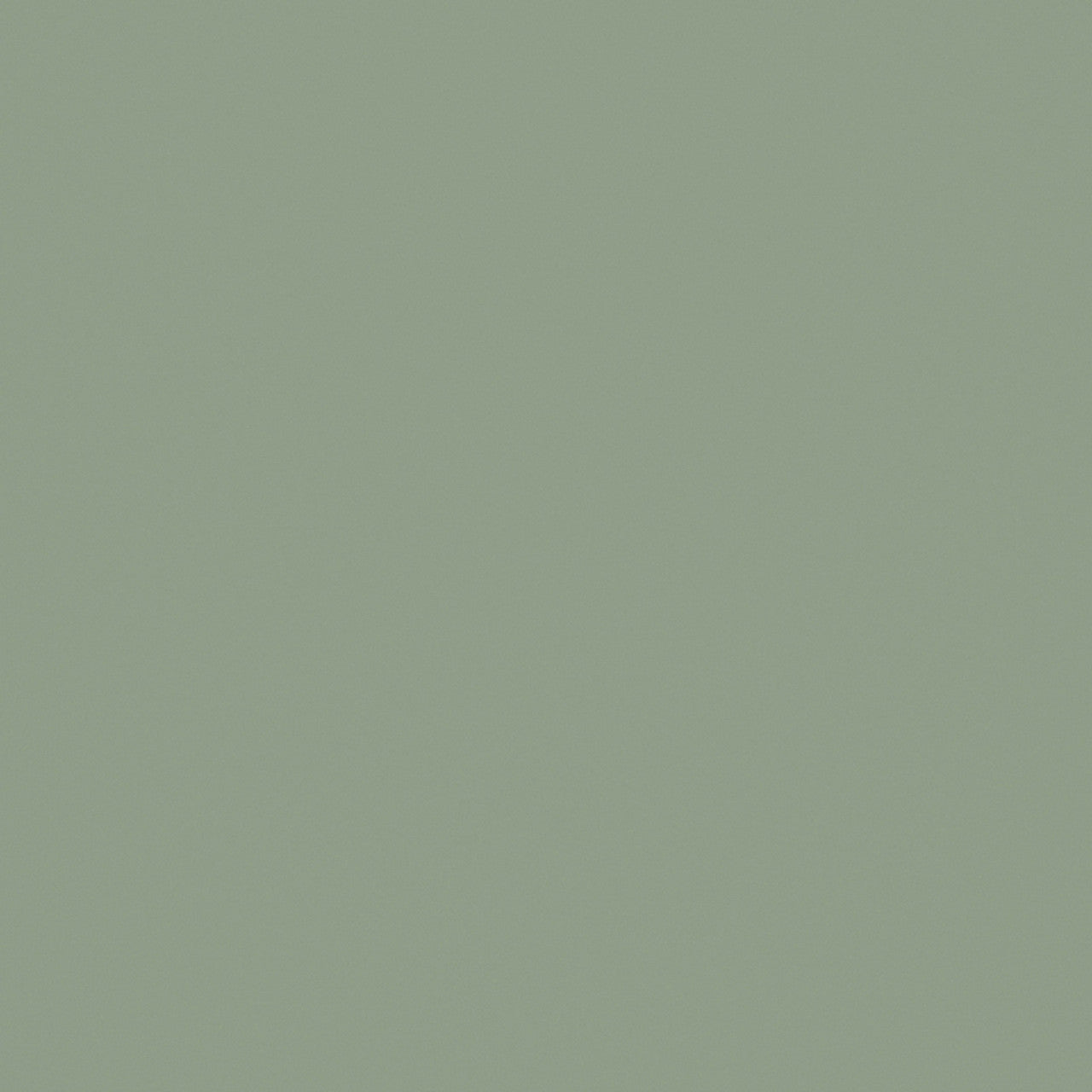 Fibo Signature - Olive Green (Plain Panel)