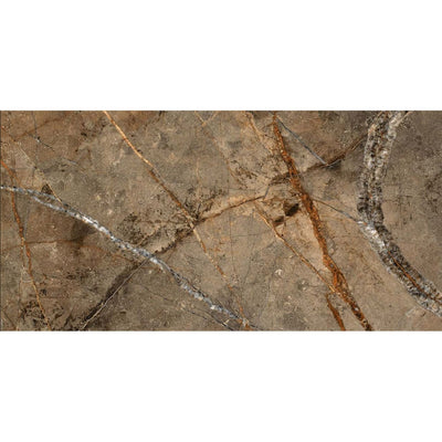 Briar Brown Gloss Porcelain Tile - 1200x600mm- N23