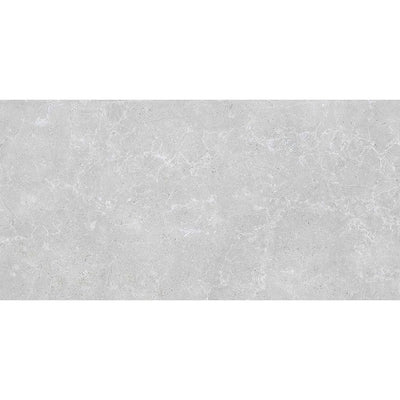 Carson Matt Grey Porcelain Tile - 1200x600mm - N23