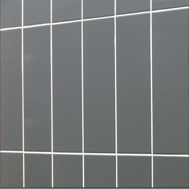 Cleveland Gloss Avon Grey Ceramic Tile - 100x300mm