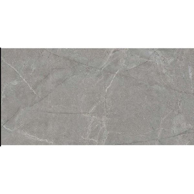 Donna Gris Porcelain Tile – 1200x600mm- N23