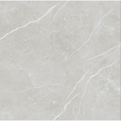 Edna Silver Matt Porcelain Tile - 600x600mm N23