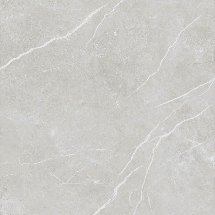 Edna Silver Matt Porcelain Tile - 900x900mm N23