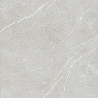 Edna Silver Matt Porcelain Tile - 900x900mm N23