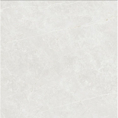 Edna White Matt Porcelain Tile - 600x600mm N23