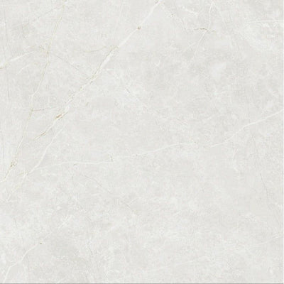 Edna White Matt Porcelain Tile - 900x900mm N23