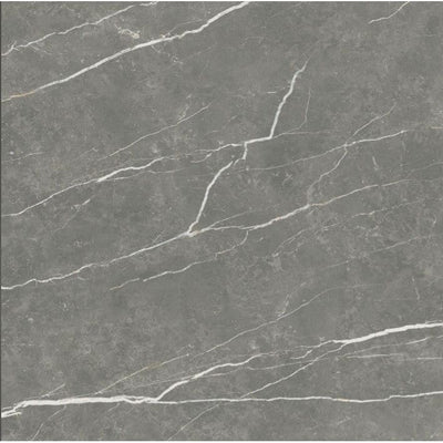 Edna Graphite Matt Porcelain Tile - 900x900mm N23