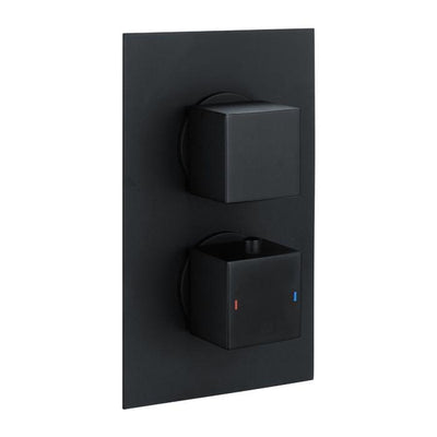 Liberty Single Outlet Square Concealed Valve with Shower Head and Arm - Black