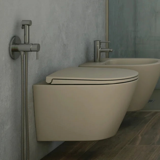 RAK Feeling Rimless Wall Hung Toilet with Soft Close Seat - Matt Greige