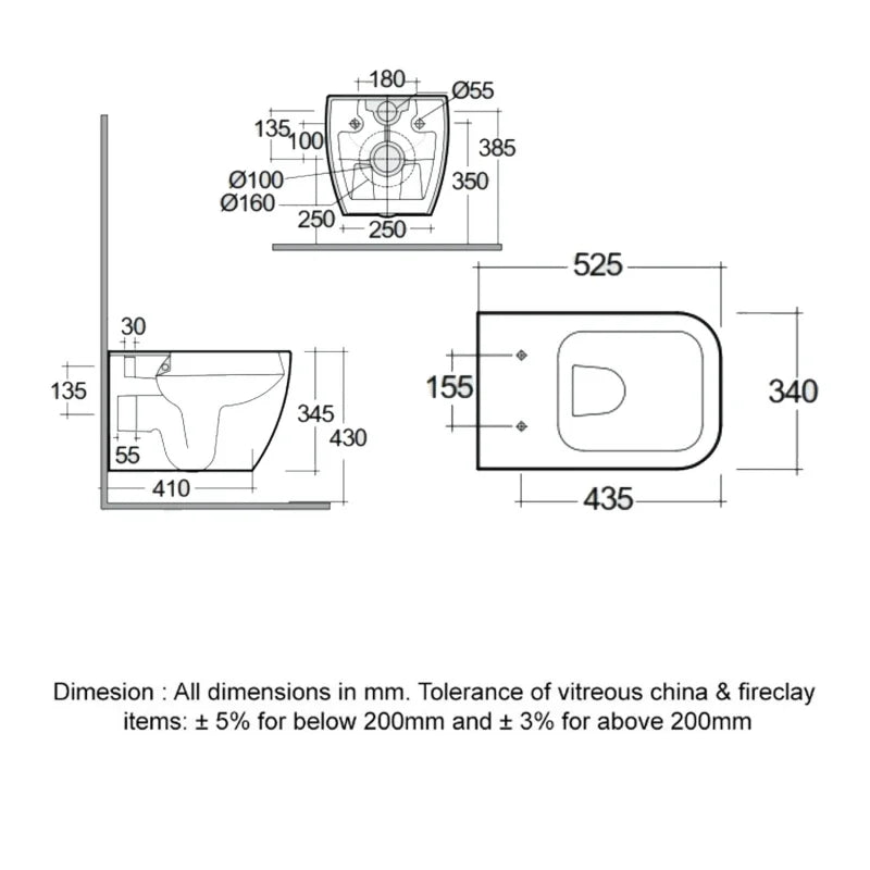 RAK Feeling Rimless Wall Hung Toilet Hidden Fixations with Soft Close Seat - Matt Cappuccino