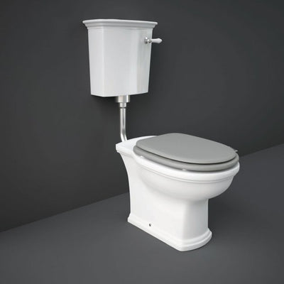 RAK Washington Low Level Toilet with Horizontal Outlet - Grey Soft Close Wood Seat