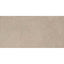 Rogers Greige Matt Porcelain Tile - 300x600mm N23