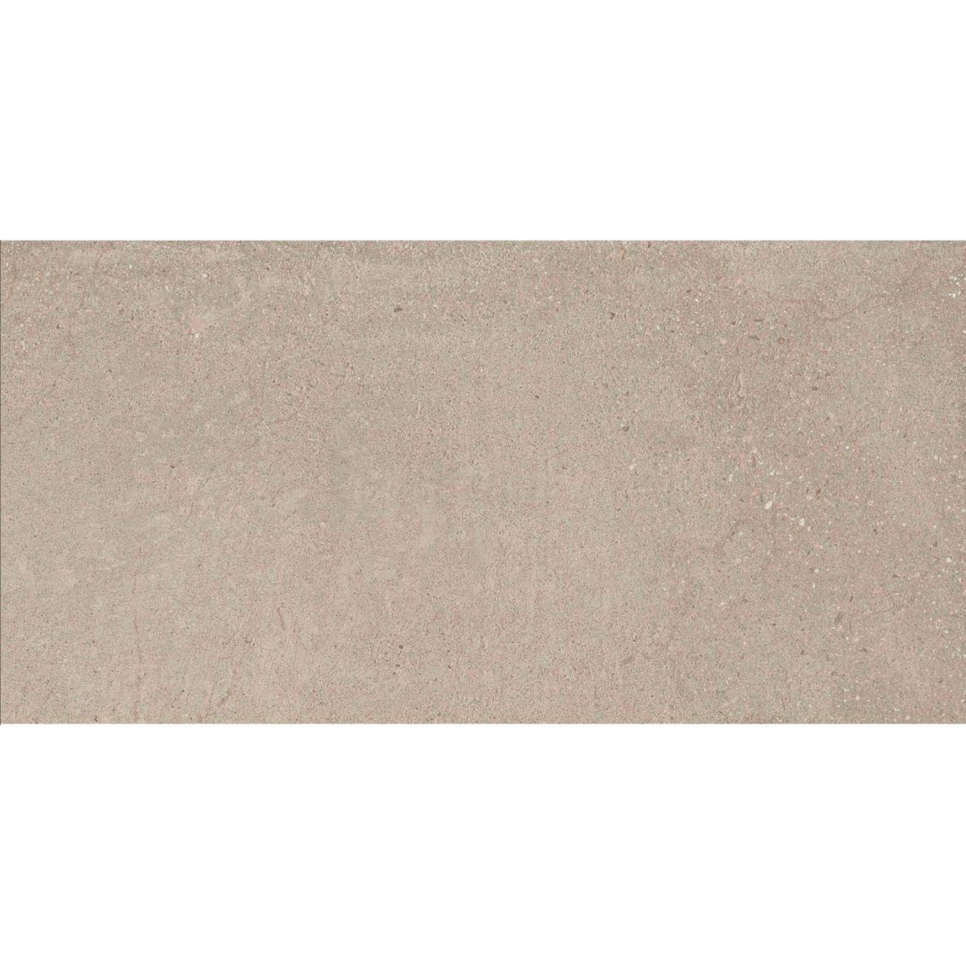 Rogers Greige Matt Porcelain Tile - 300x600mm N23