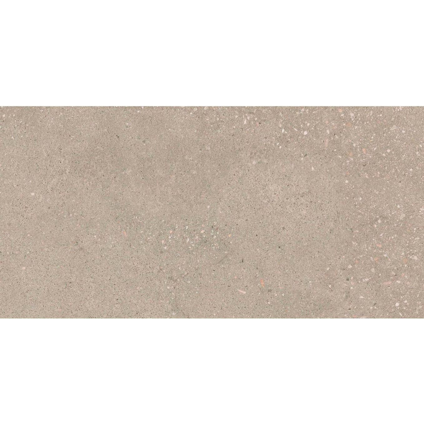 Rogers Greige Matt Porcelain Tile - 300x600mm N23