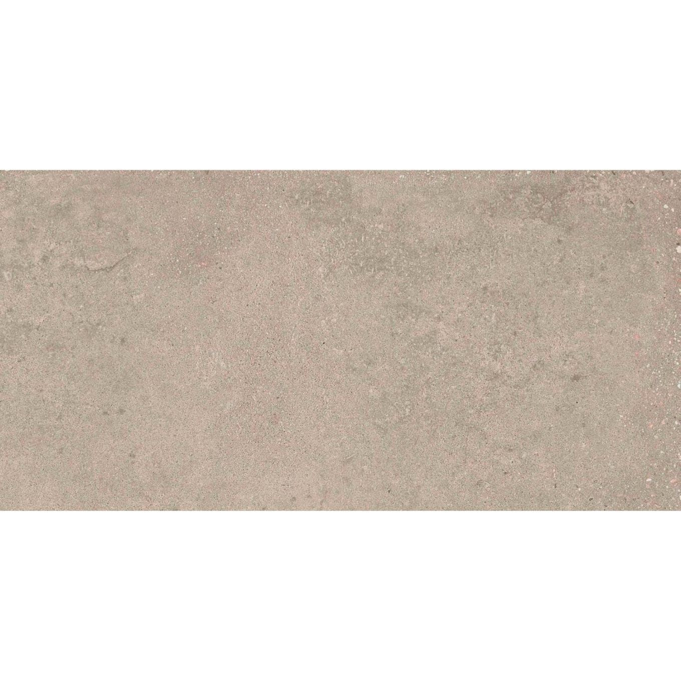 Rogers Greige Matt Porcelain Tile - 300x600mm N23