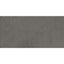 Rogers Graphite Matt Porcelain Tile - 300x600mm N23