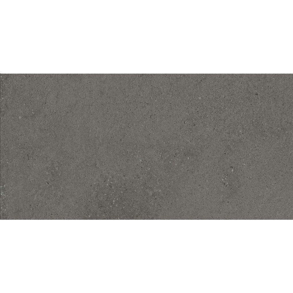 Rogers Graphite Matt Porcelain Tile - 300x600mm N23