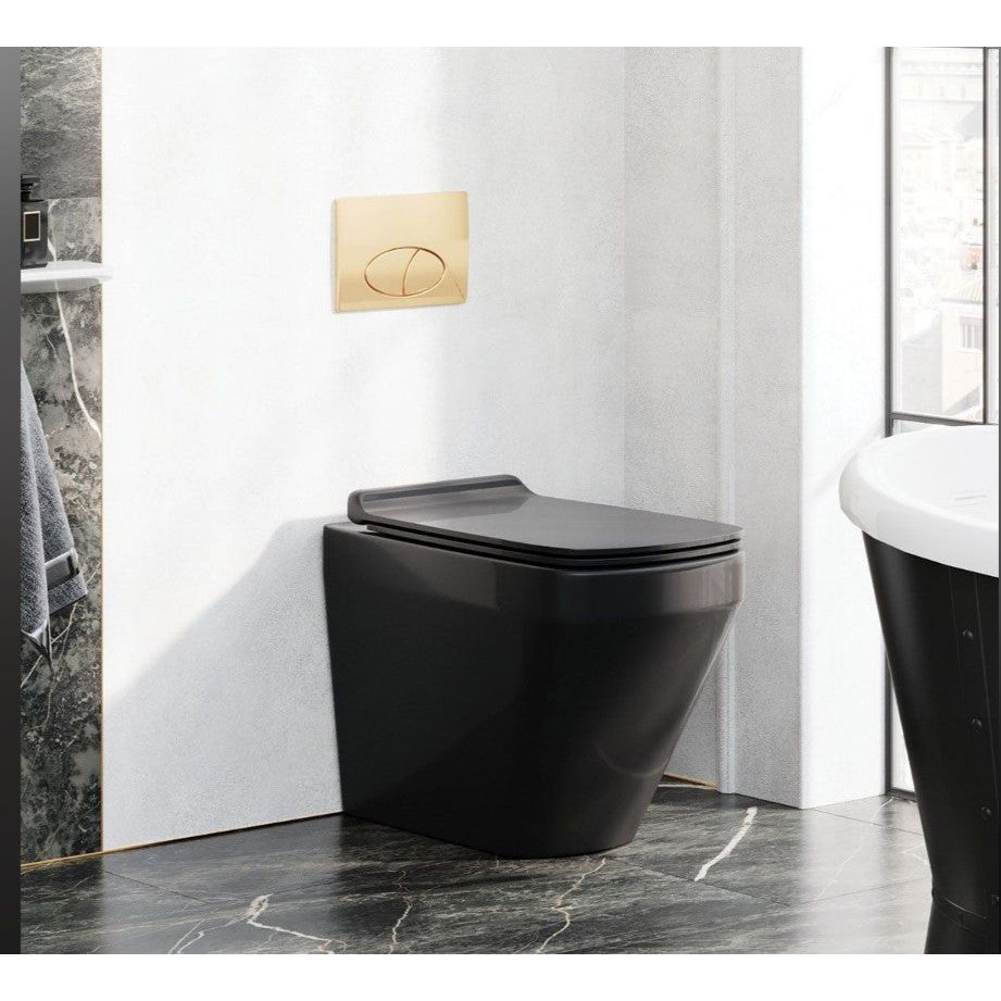 Ruth Rimless Back to Wall Toilet - Matt Black